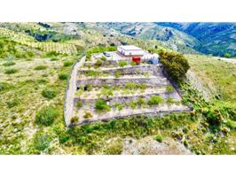 Casa con terreno en venta en Albondón photo 0