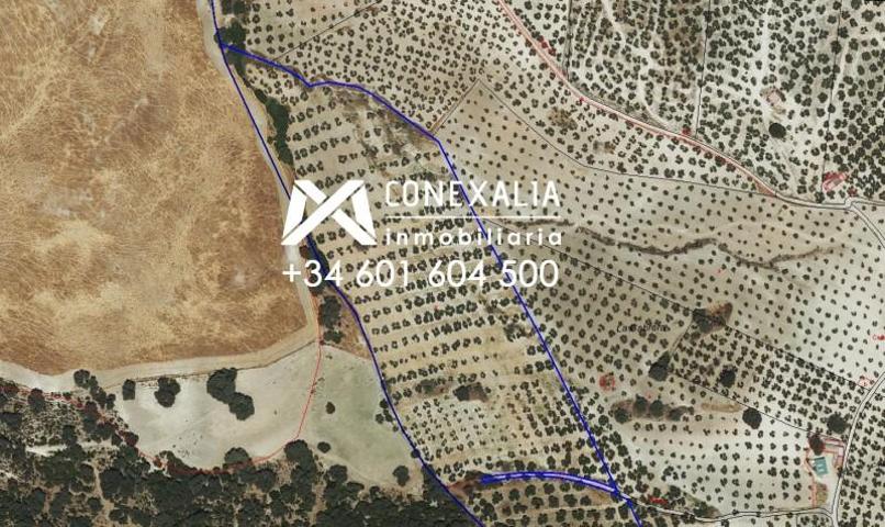 Chalet en venta en Pruna, Pruna photo 0