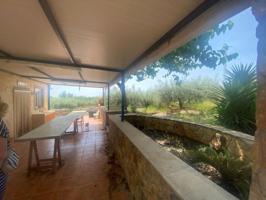 Nave industrial en venta en Alcanar, Alcanar photo 0