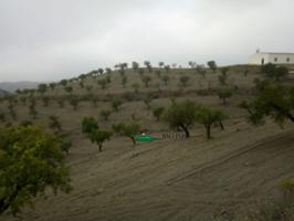 Chalet en venta en Vélez-Rubio, Velez-Rubio photo 0