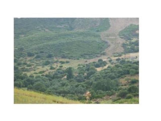 Chalet en venta en Casares photo 0