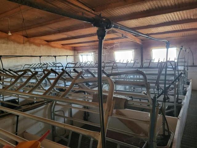 Nave industrial en venta en Azuaga, Azuaga photo 0