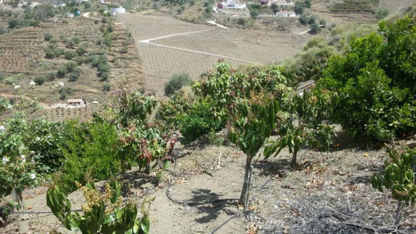 Chalet en venta en Arenas, Arenas photo 0