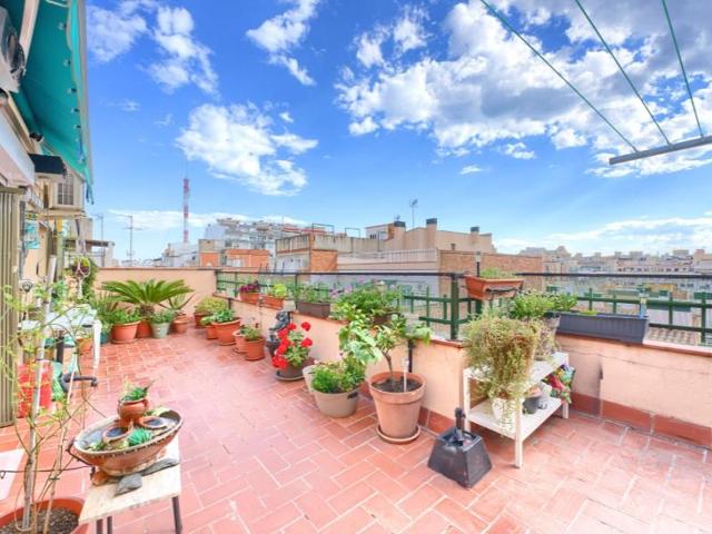 Aticos en venta en L'Hospitalet de Llobregat, Sant Josep photo 0