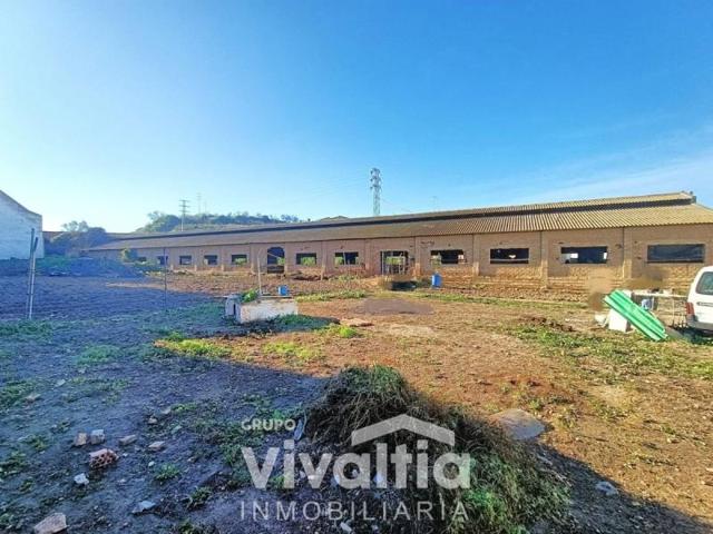 Terreno en venta en Bonares, Bonares photo 0