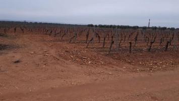 Terreno en venta en Almagro, Almagro photo 0