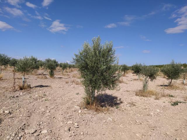 Chalet en venta en Ciudad Real, Ciudad Real photo 0