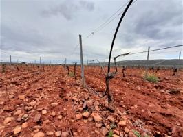 Chalet en venta en Valdepeñas, Carretera Moral photo 0