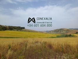 Chalet en venta en Pruna, Pruna photo 0