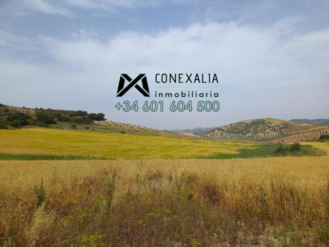 Chalet en venta en Pruna, Pruna photo 0