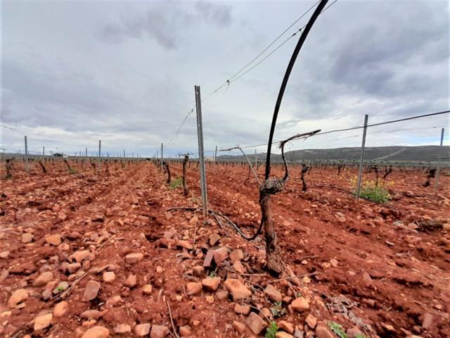 Chalet en venta en Valdepeñas, Carretera Moral photo 0