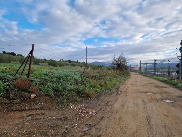 Terreno en venta en Plasencia, Plasencia photo 0