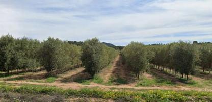 Chalet en venta en Tobarra, Tobarra photo 0