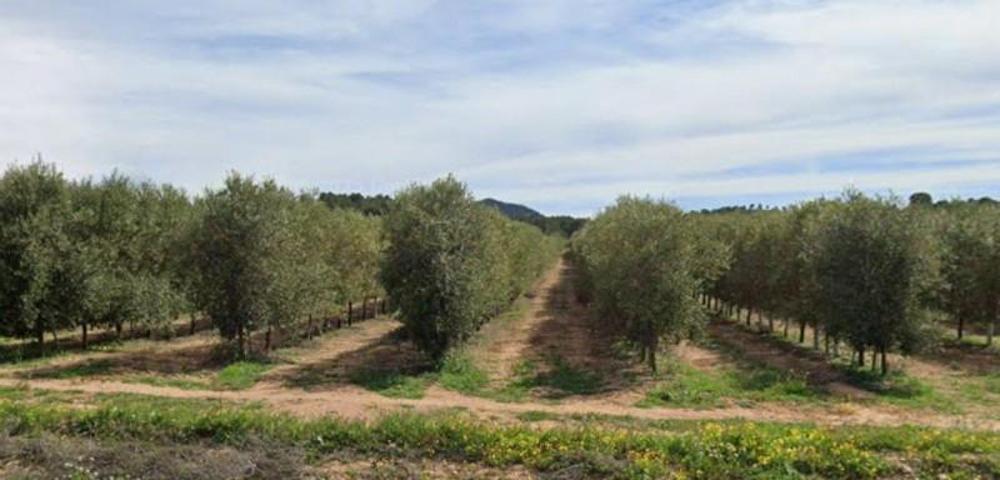 Chalet en venta en Tobarra, Tobarra photo 0