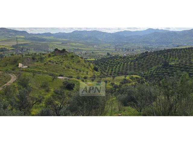 Terreno en venta en Alora photo 0