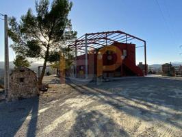 Local comercial en venta en Arboleas, Arboleas photo 0