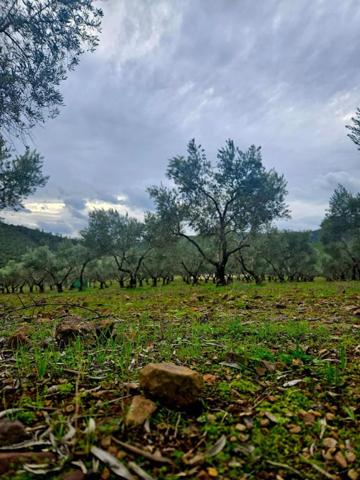 Chalet en venta en Fuente del Arco, Fuente Del Arco photo 0