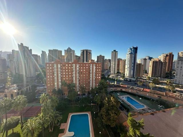Apartamento en venta en Benidorm, Avenida Alfonso Puchades photo 0