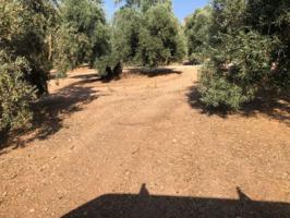 Chalet en venta en Archidona, Archidona photo 0