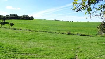 Chalet en venta en Arcos de la Frontera, Alrededores photo 0