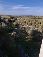 Chalet en venta en Algar, Algar photo 0