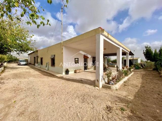 Casa con terreno en venta en Aspe, La Horna photo 0