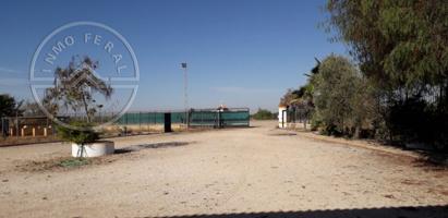 Casa con terreno en venta en Fuente Palmera, El Villar photo 0