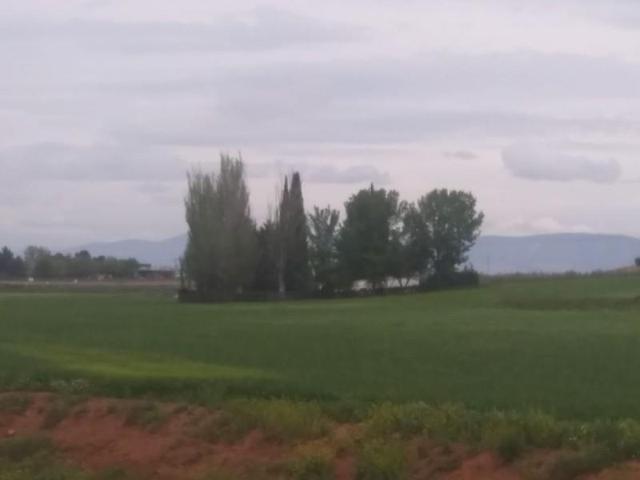 Chalet en venta en Daimiel, Daimiel photo 0