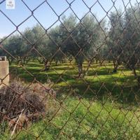 Terreno en venta en Binissalem, Área de Binissalem photo 0