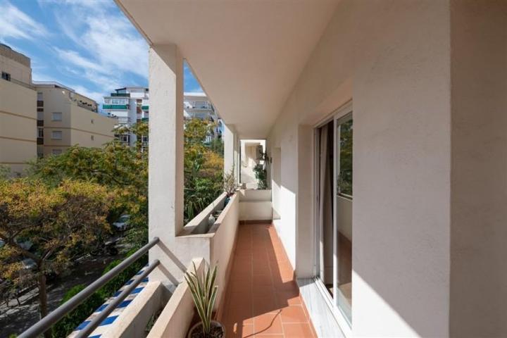 Local comercial en venta en Marbella, Marbella photo 0