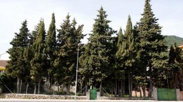 Chalet en venta en Piedralaves, Piedralaves photo 0