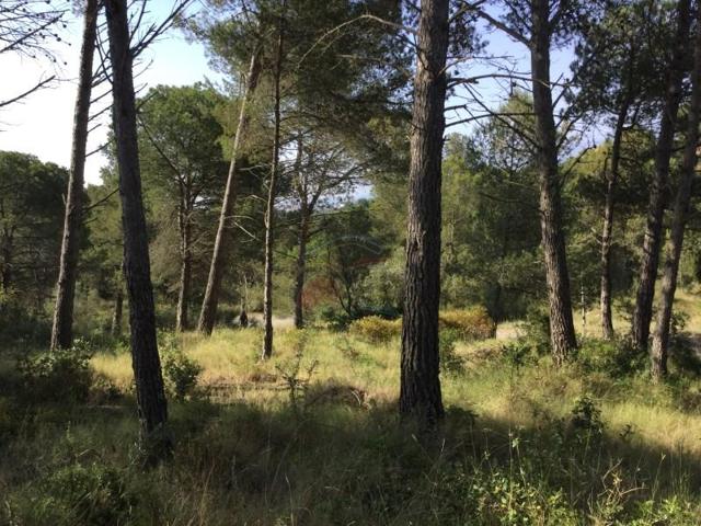 Terreno en venta en Palamós photo 0