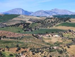 Casa en venta en Antequera, Centro photo 0