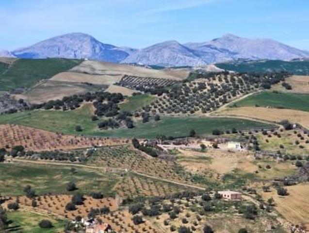 Casa en venta en Antequera, Centro photo 0