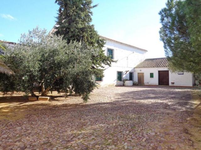 Terreno en venta en Valdepeñas, Centro photo 0