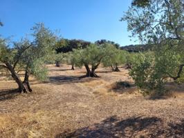 Chalet en venta en Malcocinado, Malcocinado photo 0