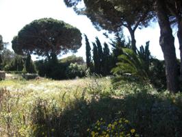 Chalet en venta en Vejer de la Frontera, La Muela photo 0