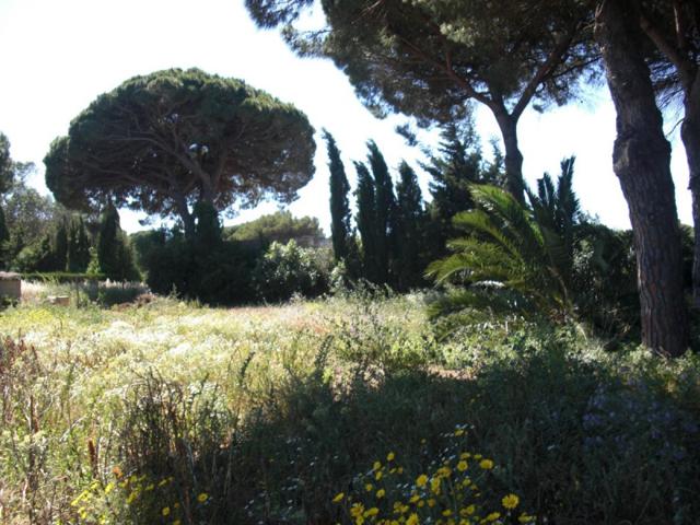 Chalet en venta en Vejer de la Frontera, La Muela photo 0