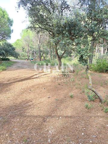 Terreno en venta en Albacete, Pinares del Jucar photo 0