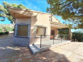 Chalet en venta en Aspe, Aspe photo 0