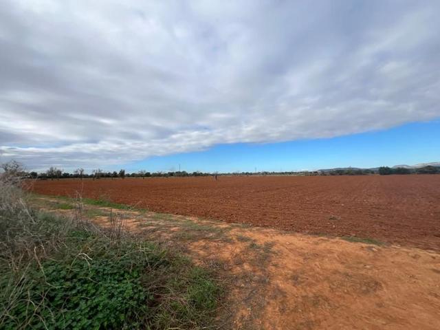 Terreno en venta en Campos photo 0