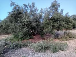 Chalet en venta en Archidona, Archidona photo 0