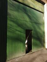 Nave industrial en venta en Mungia, Mungia photo 0