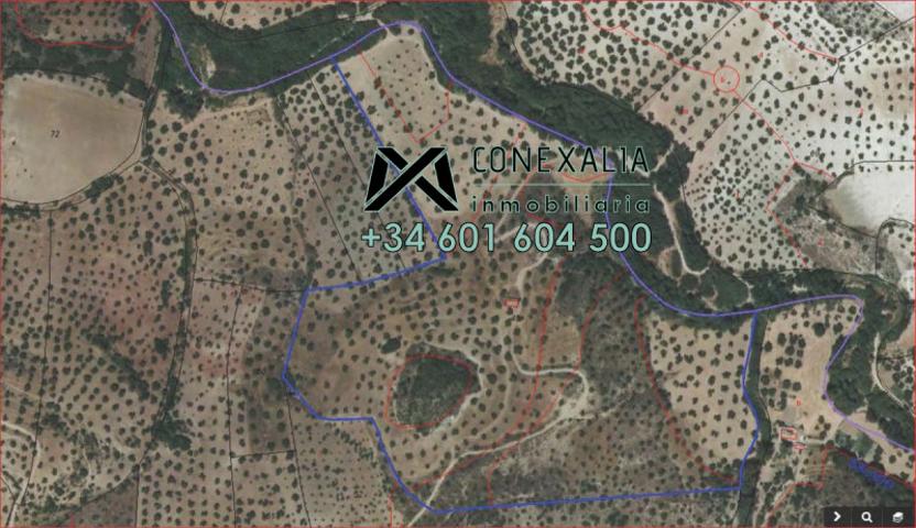 Chalet en venta en Olvera, Olvera photo 0