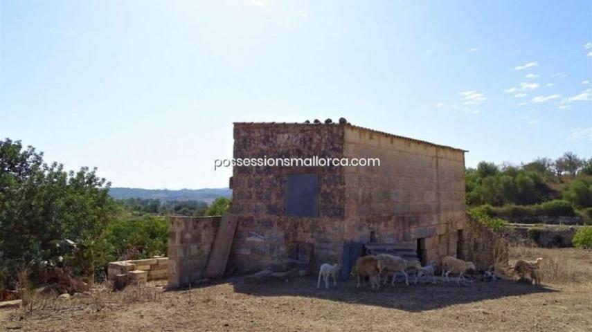 Casa con terreno en venta en Maria de la Salut, María de la Salud photo 0