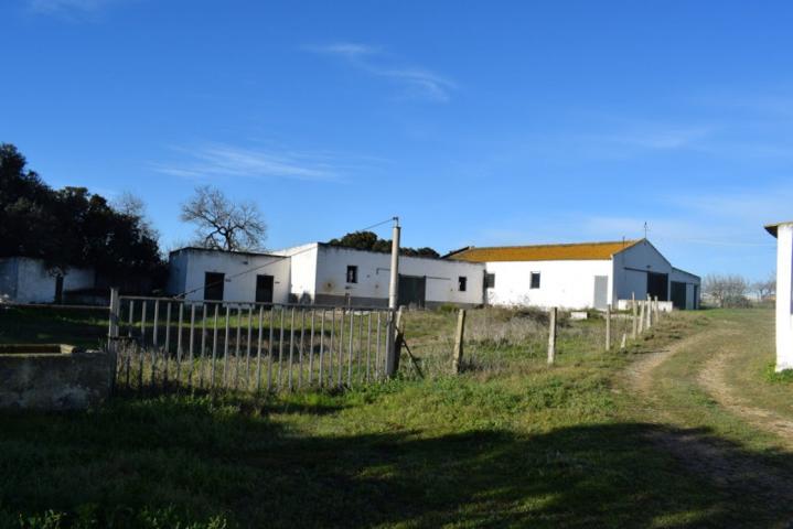 Casa con terreno en venta en Puerto Real, Ctra. Medina photo 0