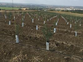 Chalet en venta en Palma del Río, Sin Zona photo 0