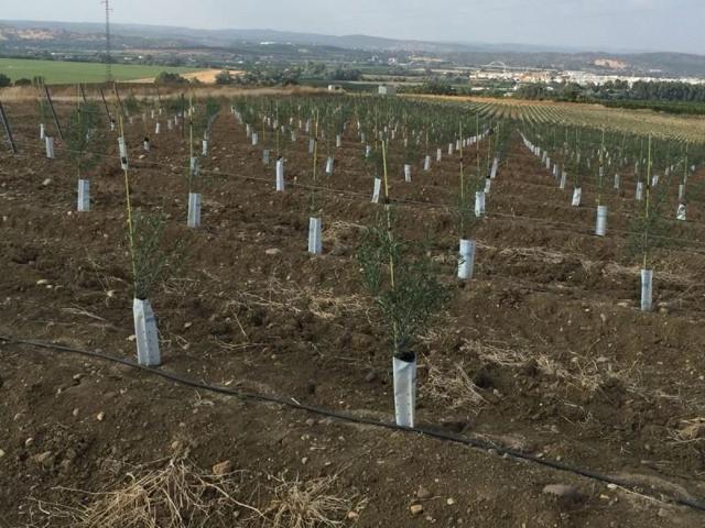 Chalet en venta en Palma del Río, Sin Zona photo 0