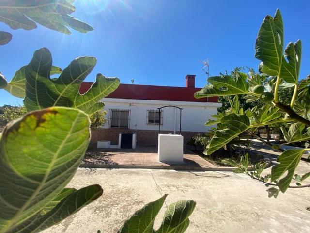 Chalet en venta en Aspe, La Horna photo 0