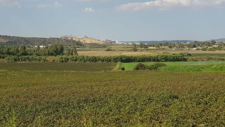 Chalet en venta en Arcos de la Frontera, Arcos De La Frontera photo 0
